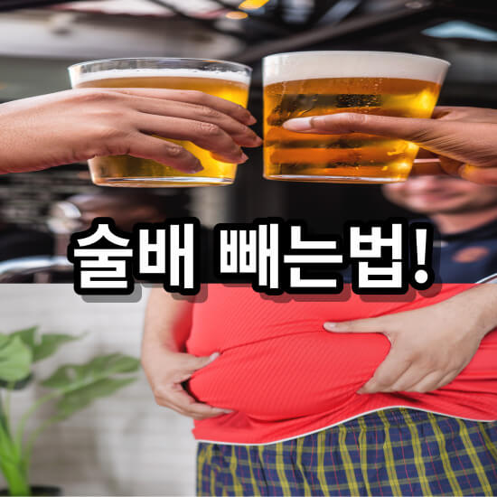 술배 빼는법!