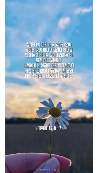 매일성경묵상(누가복음 12장 13-34절) 누가 네 인생의 주인이냐?_12