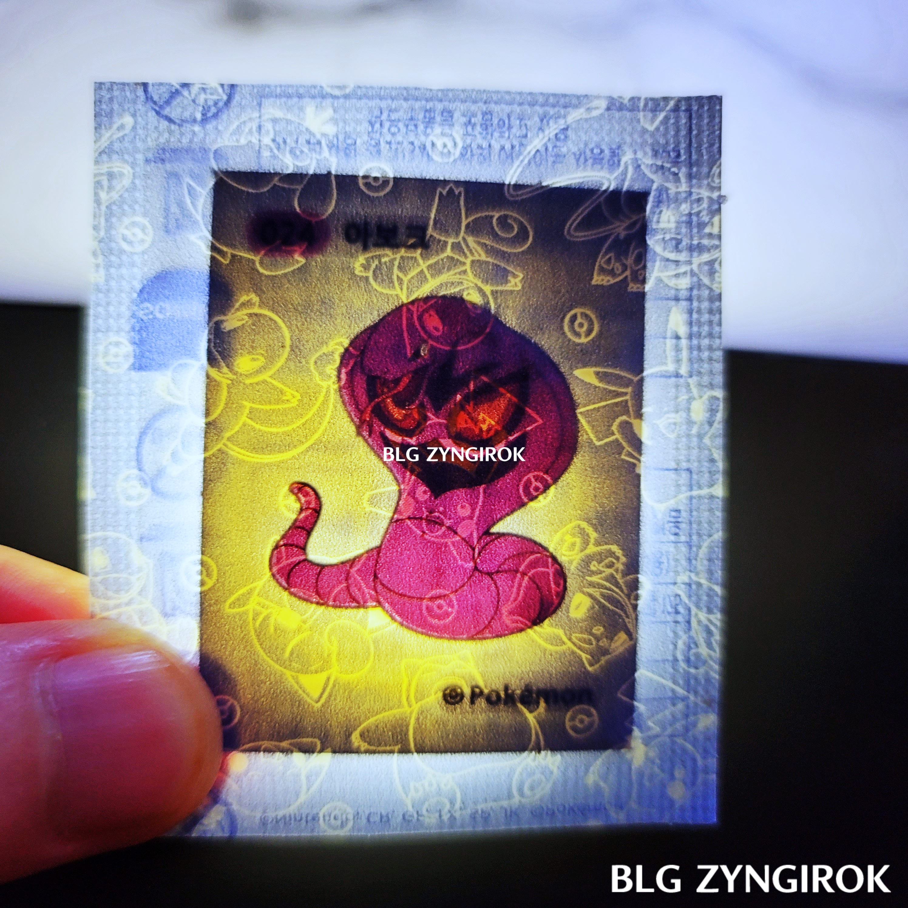 띠부띠부씰-아보크를-들고있다.