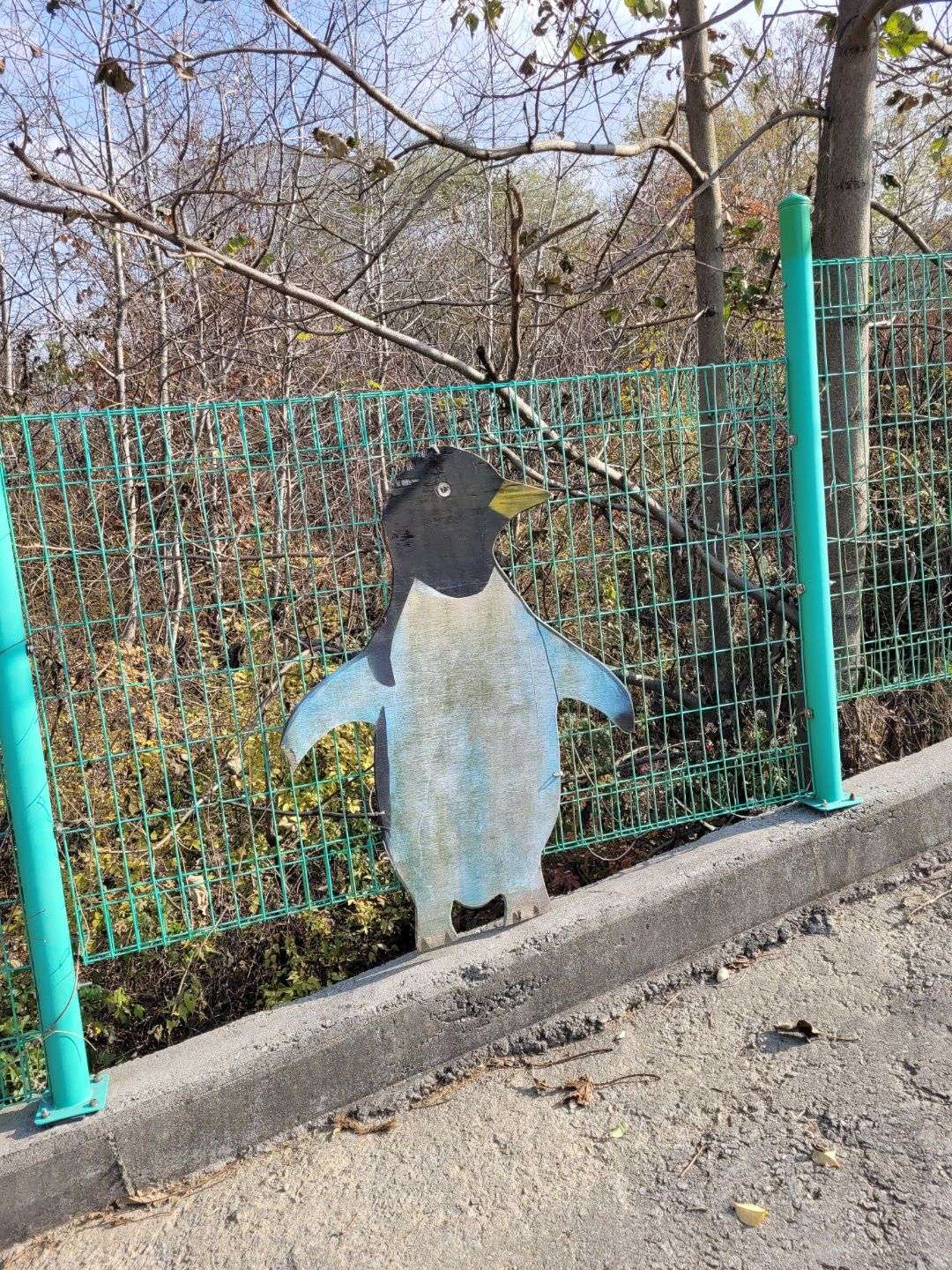 철조망 펭귄