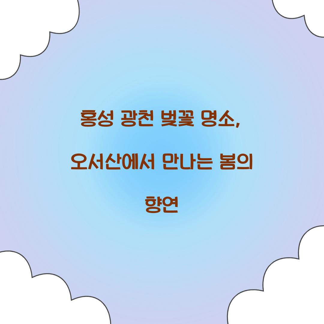 홍성 광천 벚꽃 명소
