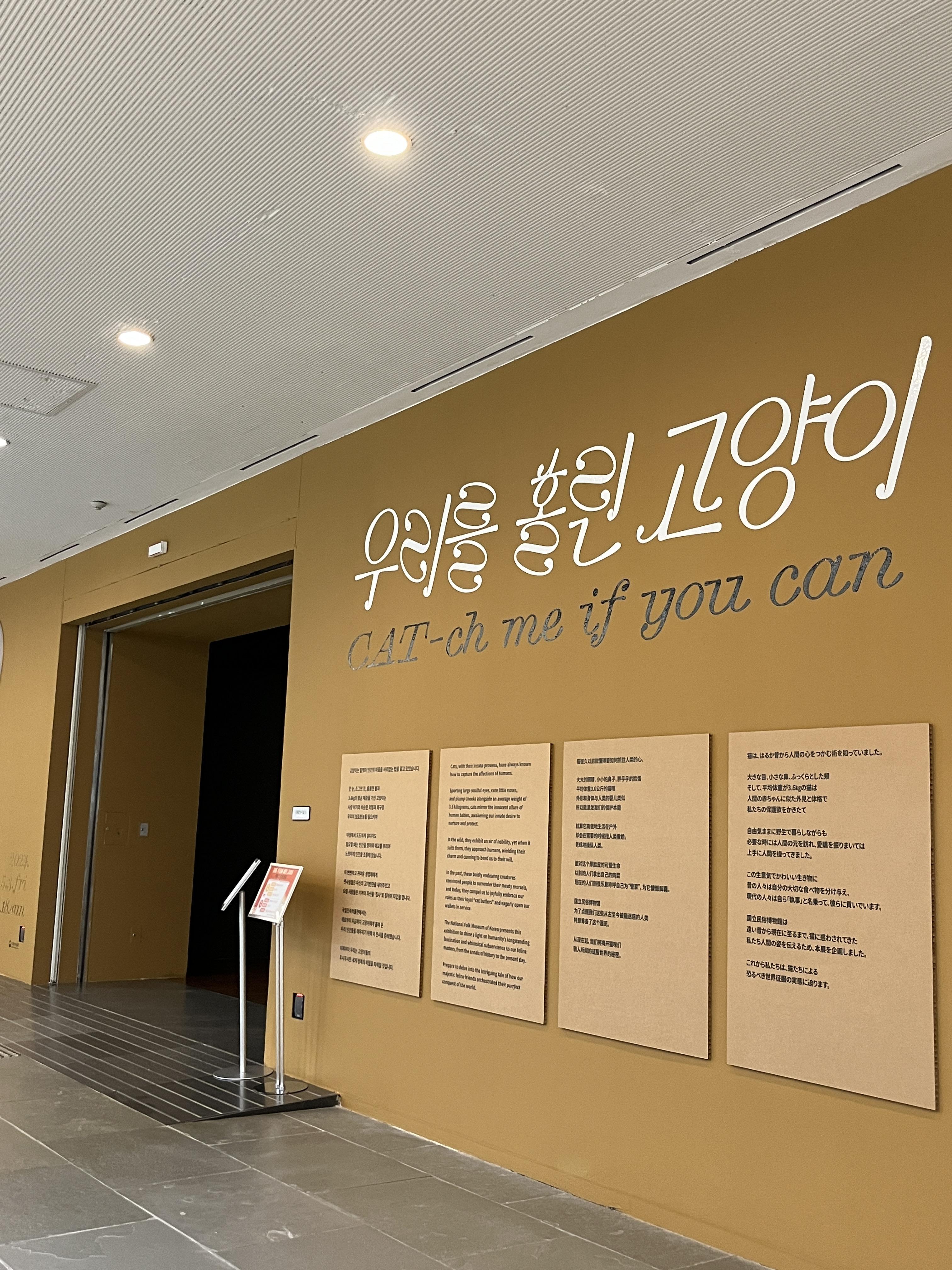 요물 우리를 홀린 고양이