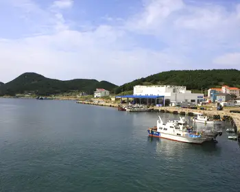 추자도 배 시간표_5