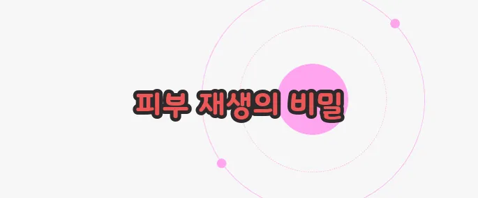 마데카 크림 효능 궁금한 점, 풀어보죠