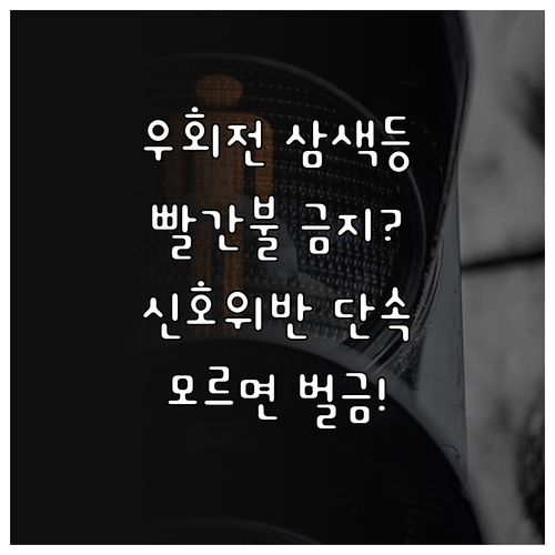 우회전 삼색등 도입 목적과 신호 위반..