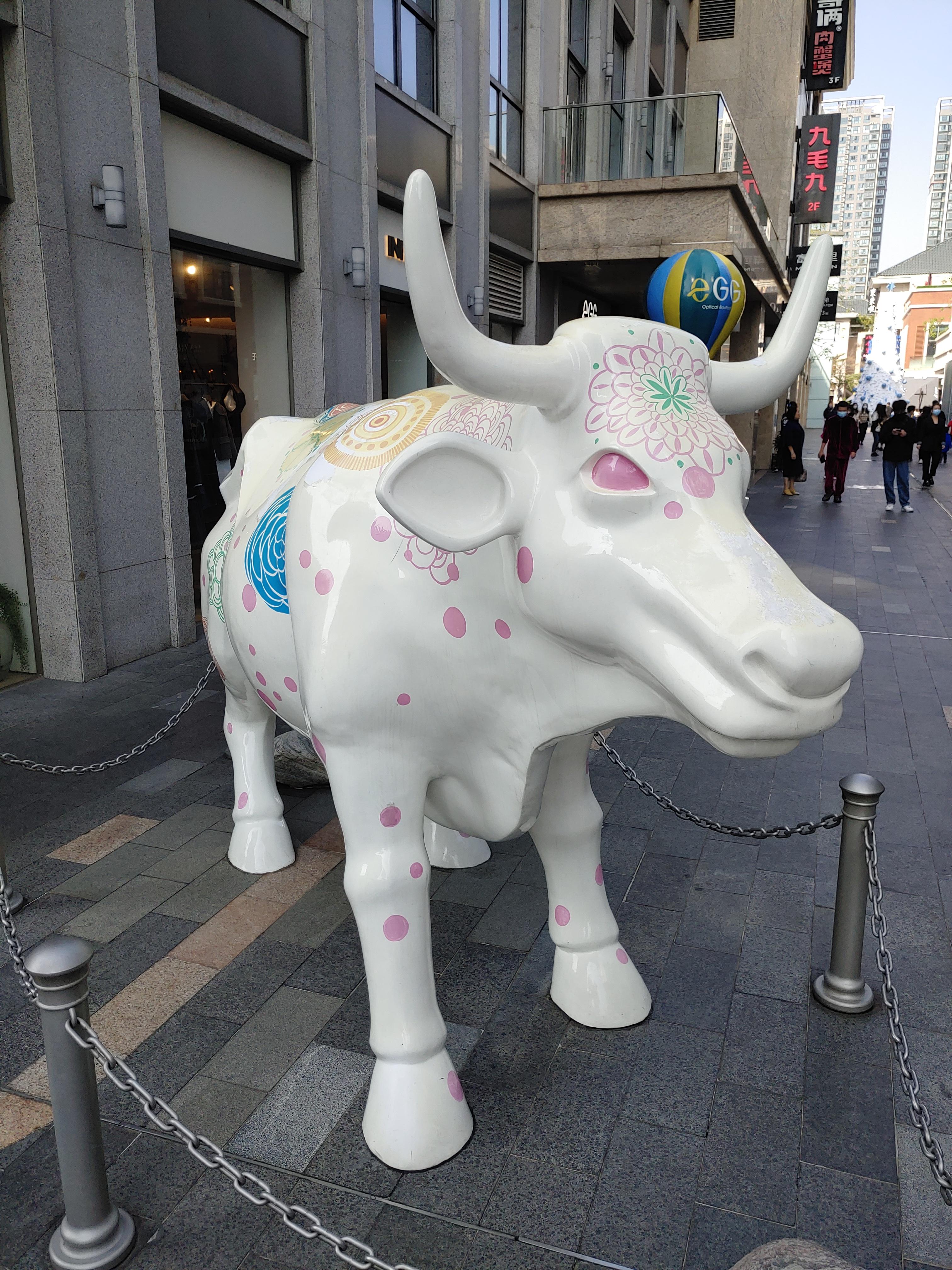 중국 주해 거리 풍경 사진