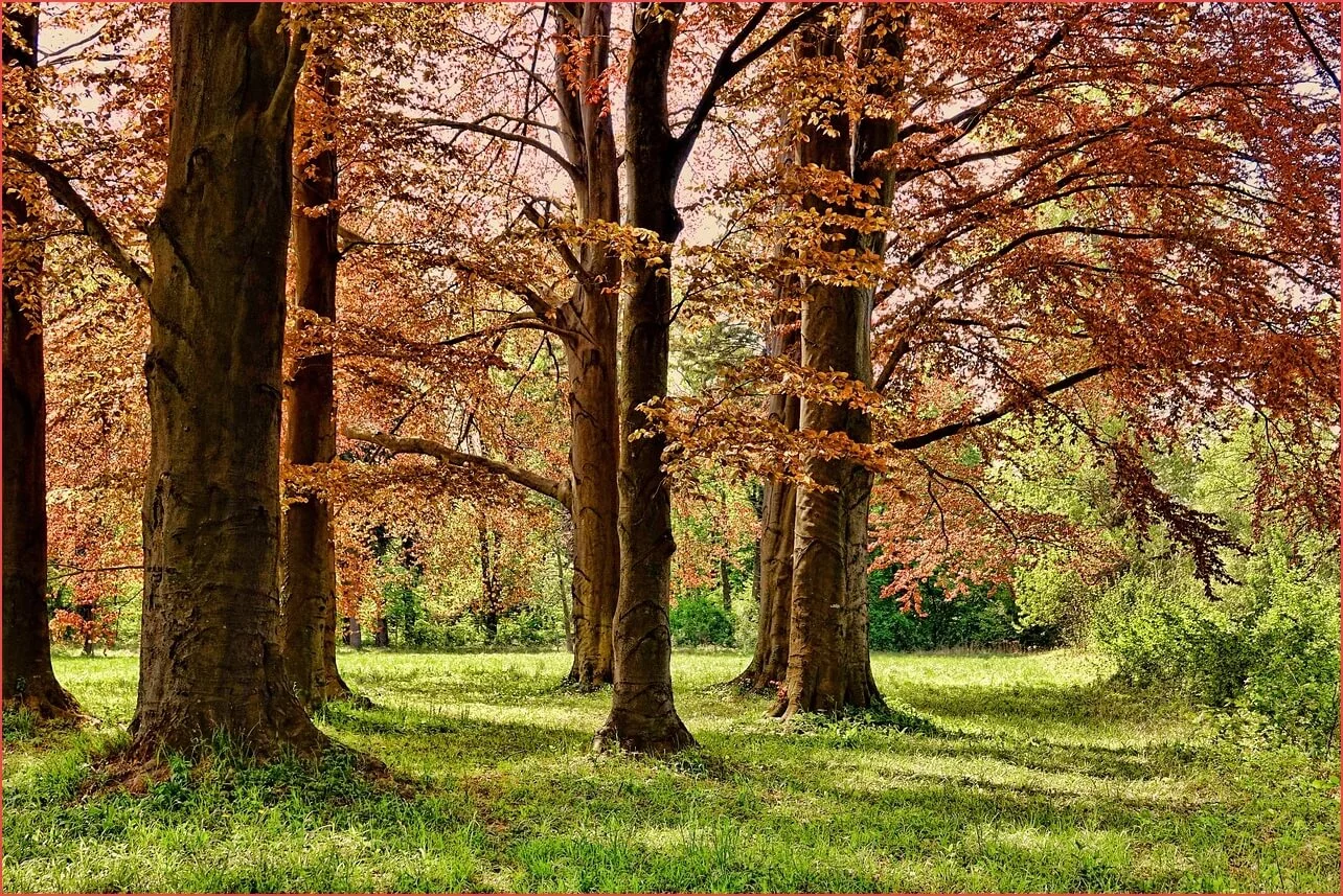 농협 정기예금 금리