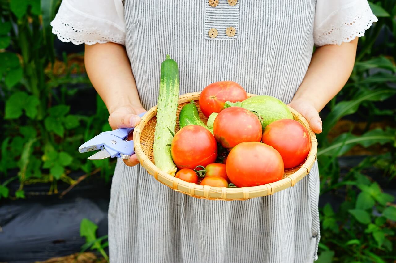 텃밭육아 아이와 함께 기후위기 대응