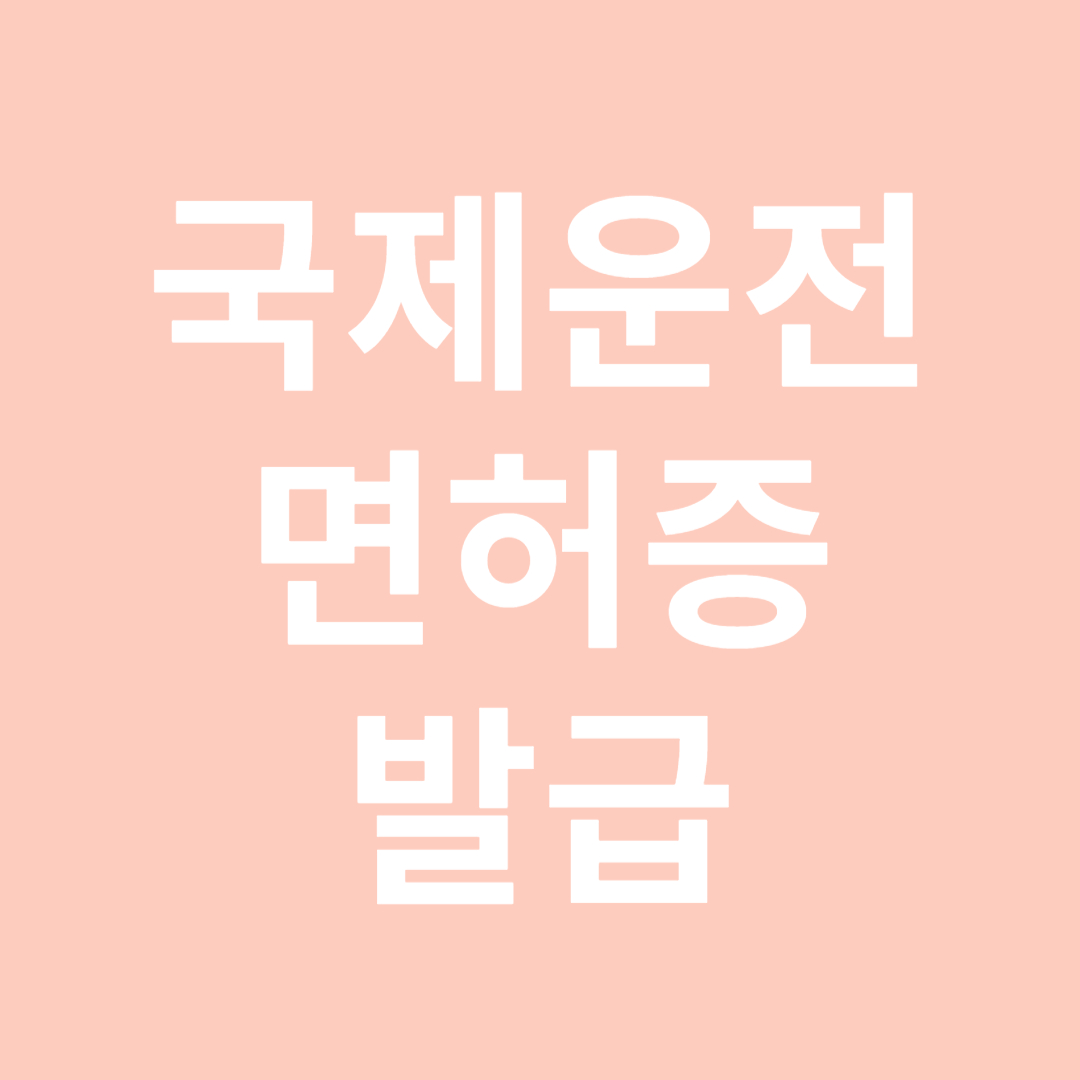 국제운전면허증 발급