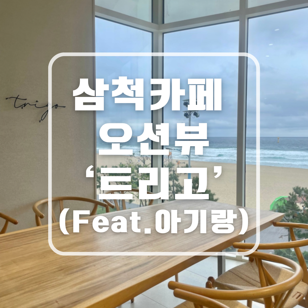 트리고 삼척해변점