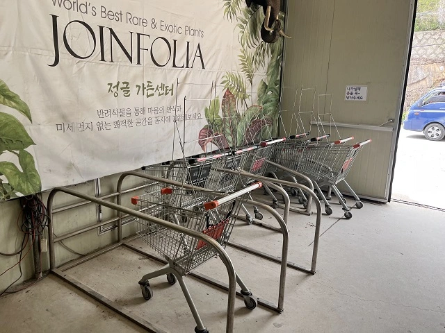 조인폴리아-입구