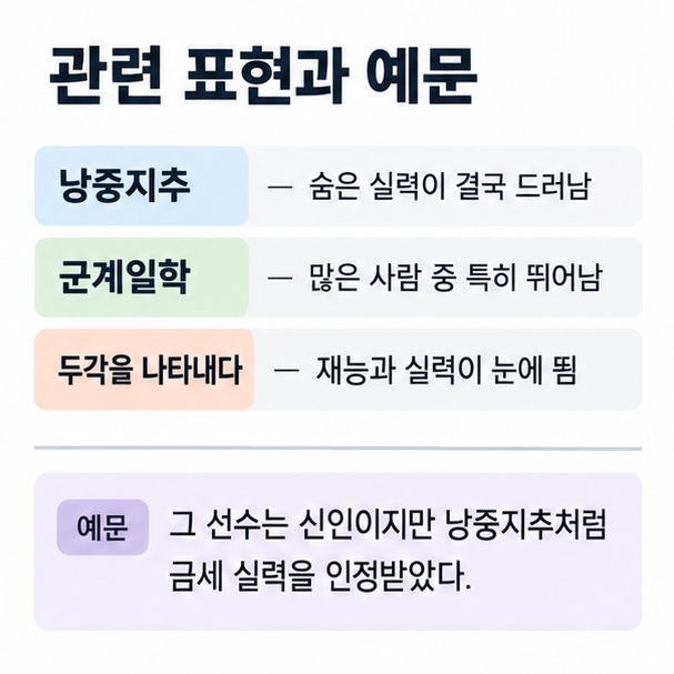 낭중지추 군계일학 두각을 나타내다의 차이와 뛰어난 실력이 자연스럽게 드러난다는 뜻을 비교한 이미지
