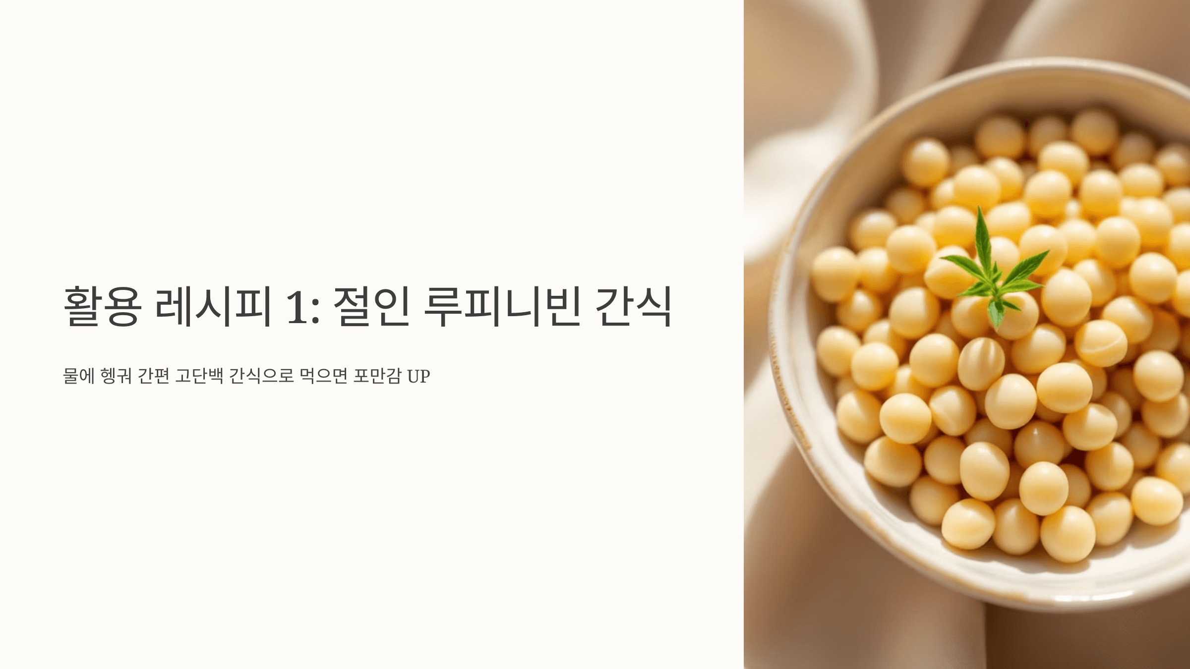루피니빈 사진입니다.