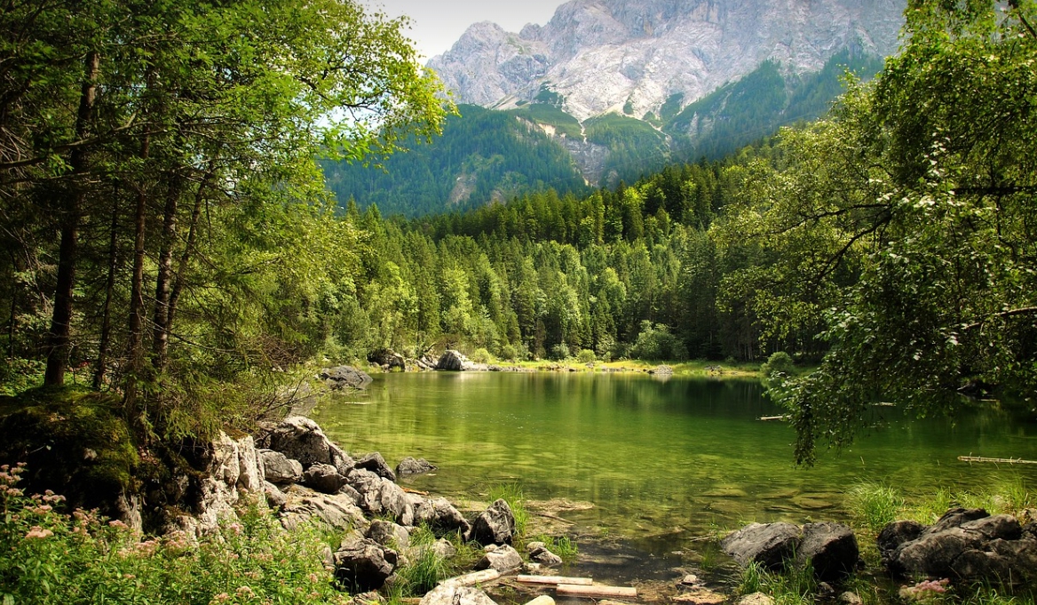 논산 온빛자연휴양림 예약