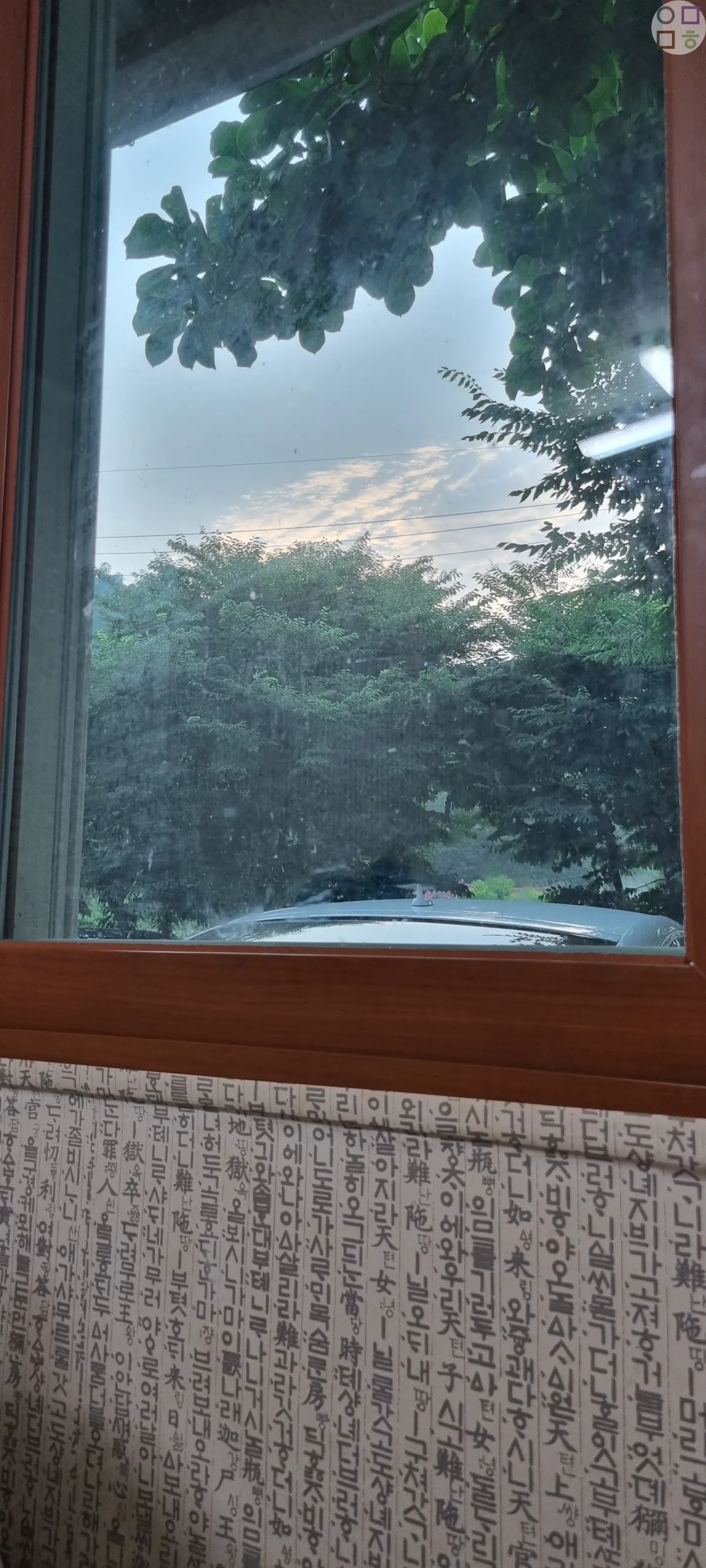 식당에서-창문을-바라본-풍경-나무-산-공기