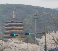 2025년 5월 가 볼만한 곳 국내 여행지 top 5 
