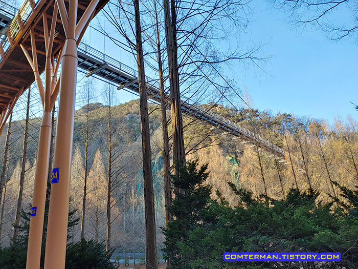 장태산 자연휴양림 출렁다리