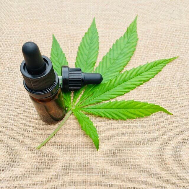 대마 종자유 부작용 확인!!