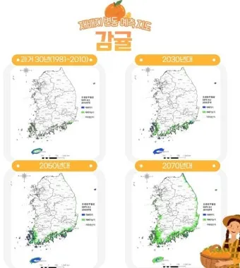 배 재배 유인 전정 수분 수정 봉지 재배_9