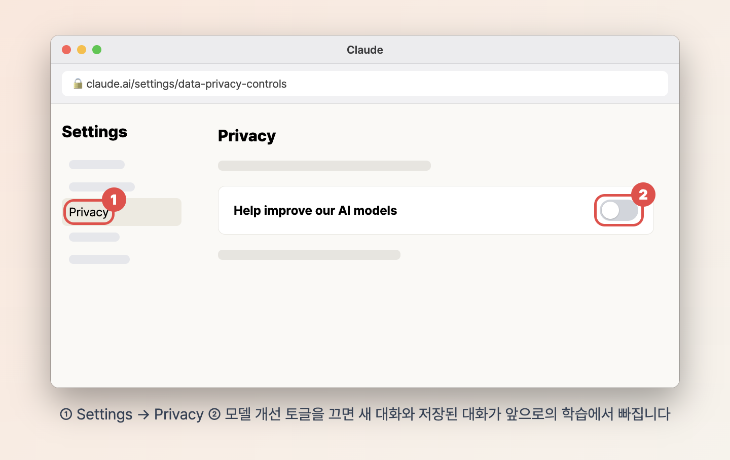 claude.ai 설정의 Privacy 메뉴에서 모델 개선 토글을 끈 모습을 재구성한 맥 창