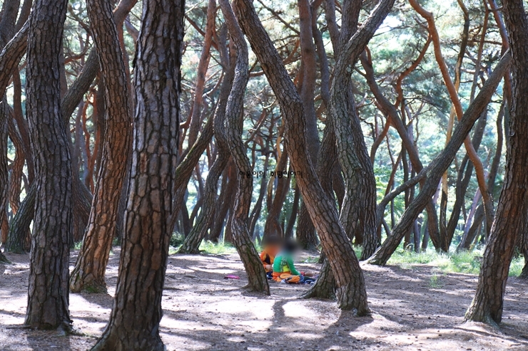 경주 가볼만한곳 베스트10