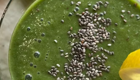 치아씨드 다이어트 효능