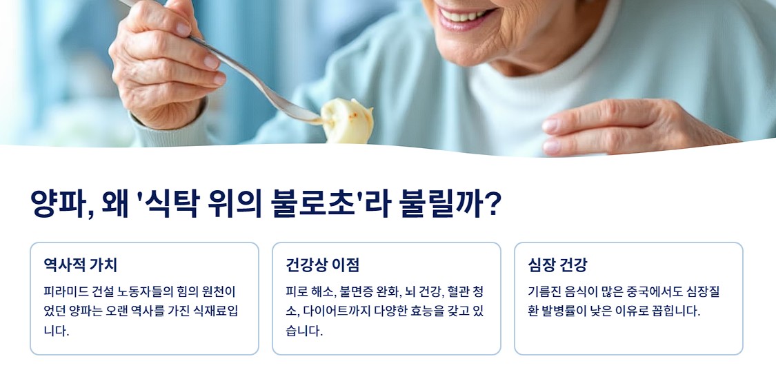 양파, 왜 ‘식탁 위의 불로초’라 불릴까?