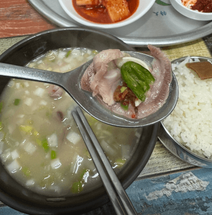 [6시 내고향] 영양전통시장 비빔밥 주물럭 칼국수 돼지국밥 맛집 시장식당