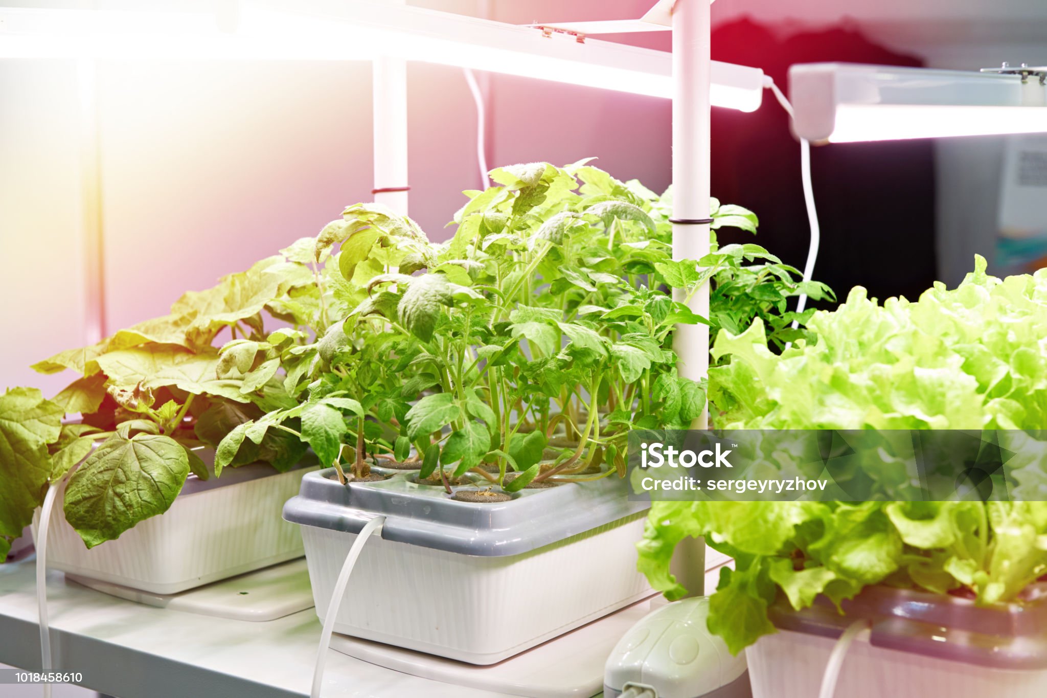 스마트팜 - 계절별 추천 작물