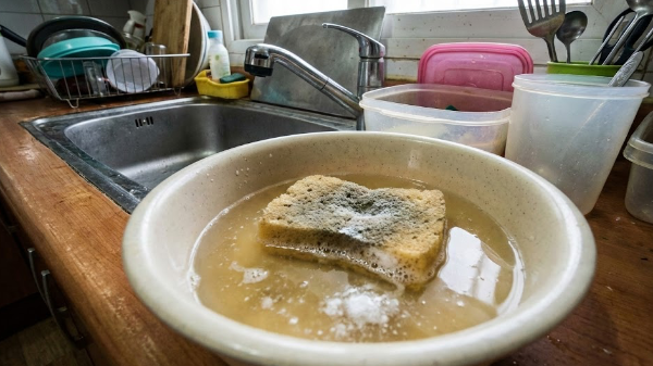 베이킹소다물에 수세미 씻는 모습