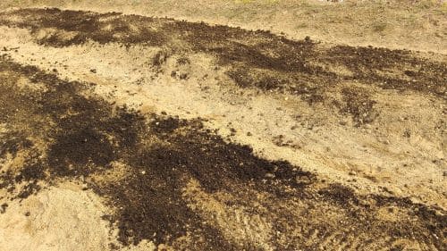 감자-재배밭-밑거름-주기