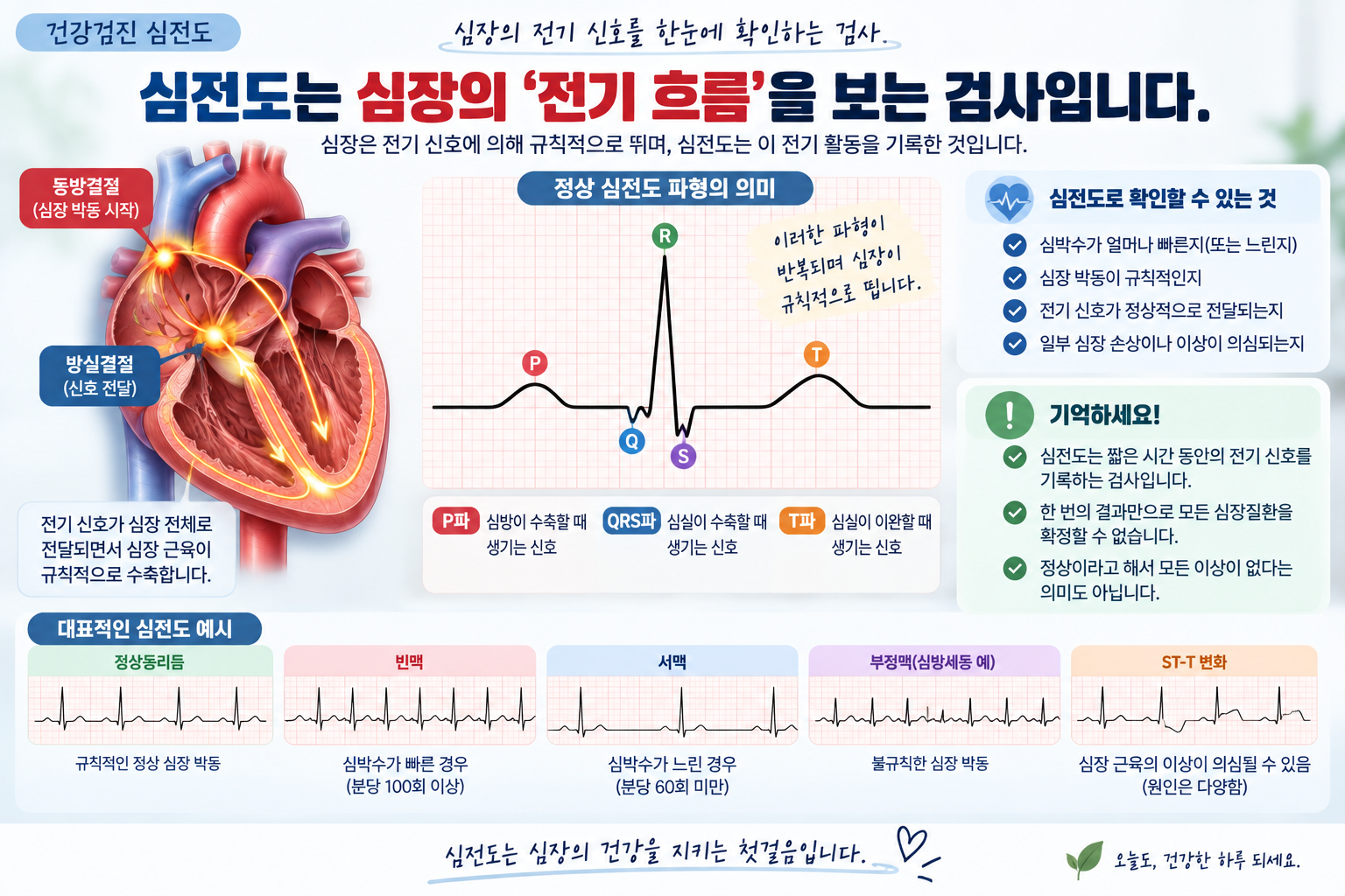 심전도 전극과 심장의 전기 신호를 설명하는 그림