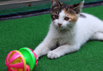 의외로 돈이 되는 틈새시장 직업들