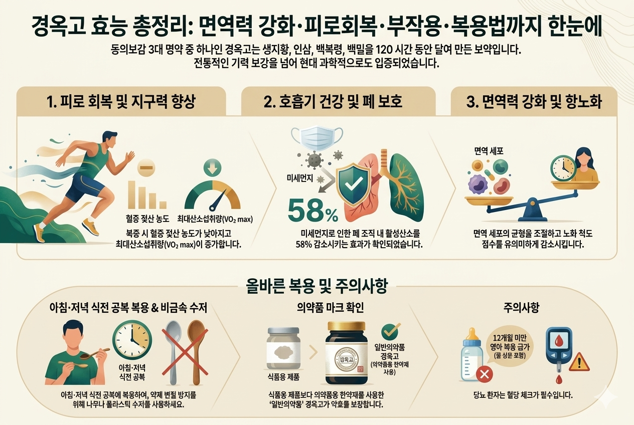 경옥고의 효능과 올바른 복용법을 정리한 인포그래픽 이미지. 상단에는 '경옥고 효능 총정리: 면역력 강화, 피로회복, 부작용, 복용법까지 한눈에'라는 제목이 적혀 있습니다. 주요 효능으로 1. 피로 회복 및 지구력 향상(혈중 젖산 농도 감소), 2. 호흡기 건강 및 폐 보호(미세먼지 활성산소 감소), 3. 면역력 강화 및 항노화가 설명되어 있습니다. 하단에는 아침저녁 식전 공복 복용과 비금속 수저 사용, 일반의약품 마크 확인, 12개월 미만 영아 복용 금지 및 당뇨 환자 주의사항 등 올바른 복용 가이드가 포함되어 있습니다.