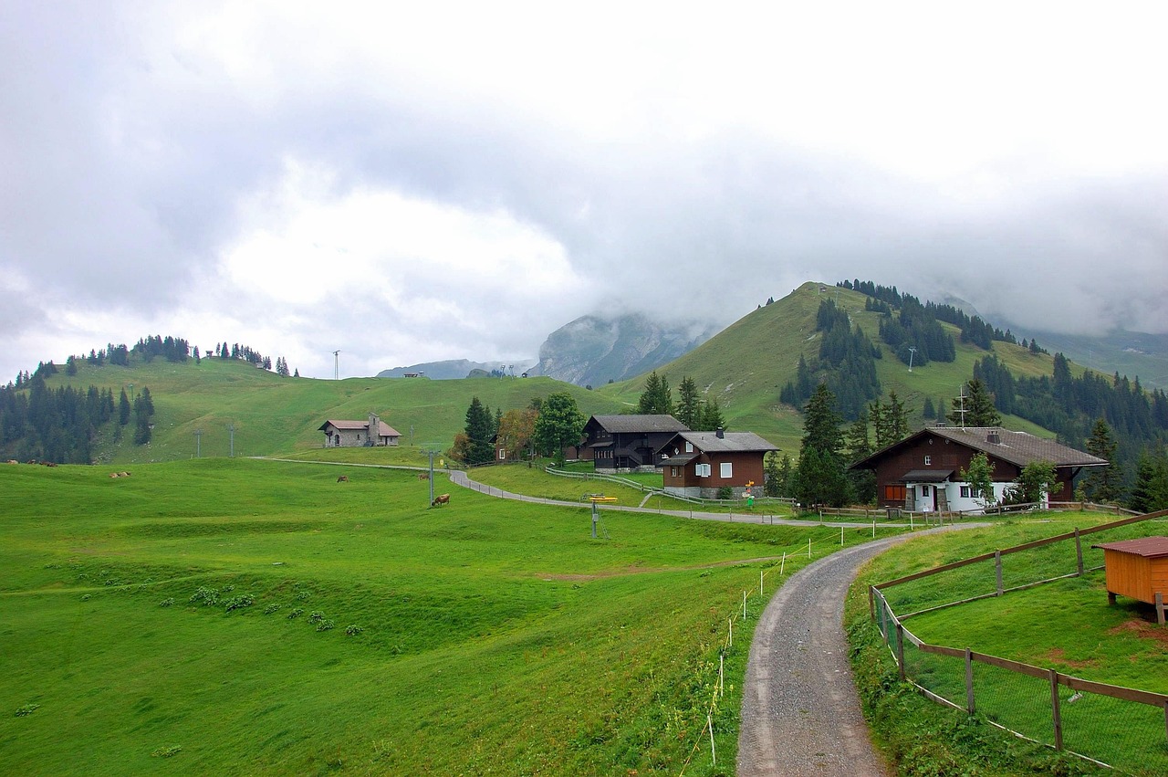 '기후우울증'이라는 말이 낯설지 않은 이유 관련 사진