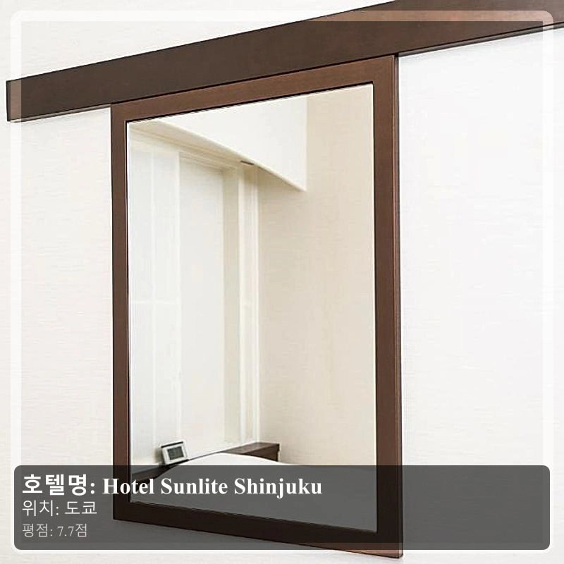 Hotel Sunlite Shinjuku_4