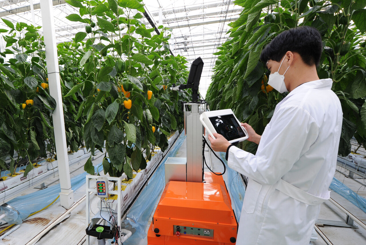 미래 도시 농업 기술