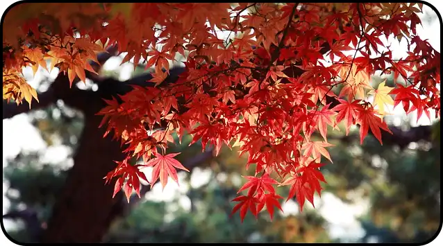 ๋ด์ฅ์ฐ ๋ฑ์ฐ์ฝ์ค ์ถ์ฒ(+ ๋ฑ์ฐ์ง๋ )