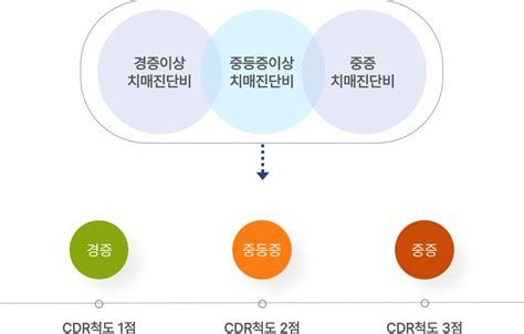 치매간병보험