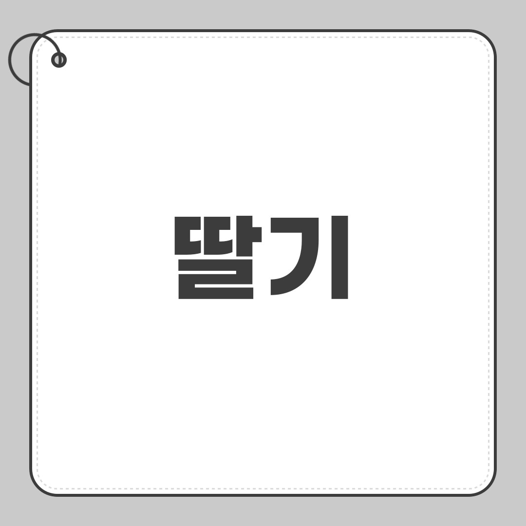 딸기