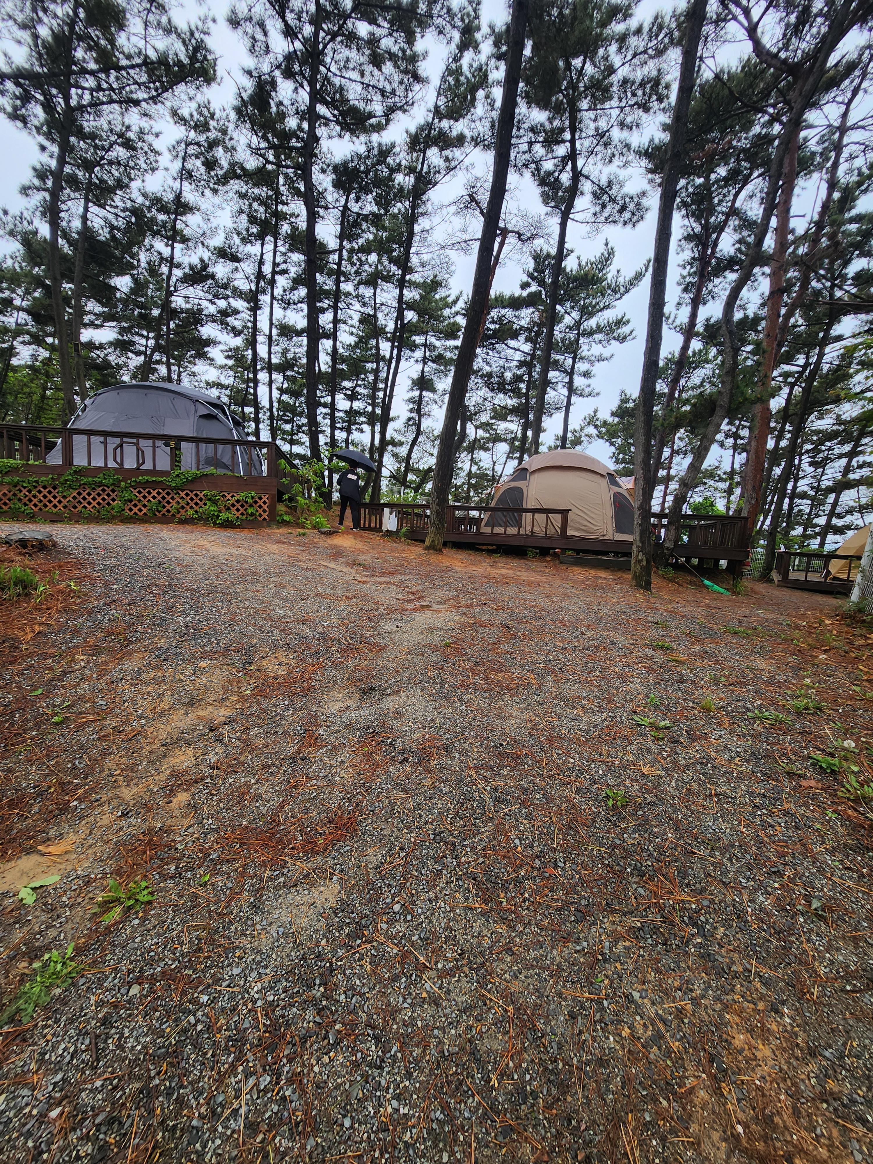 태안 캠핑장 데크 사이트