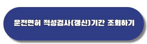 운전면허 적성검사(갱신) 기간 조회하기