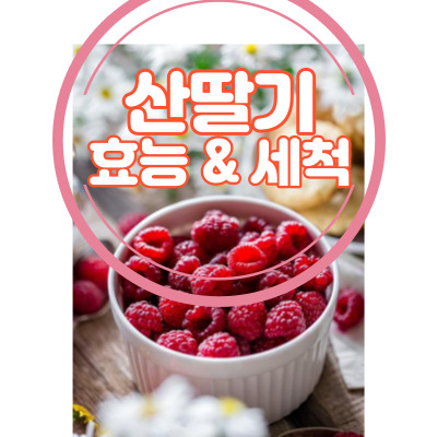 산딸기 세척