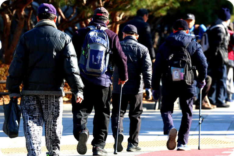 5060 퍼레니얼 세대