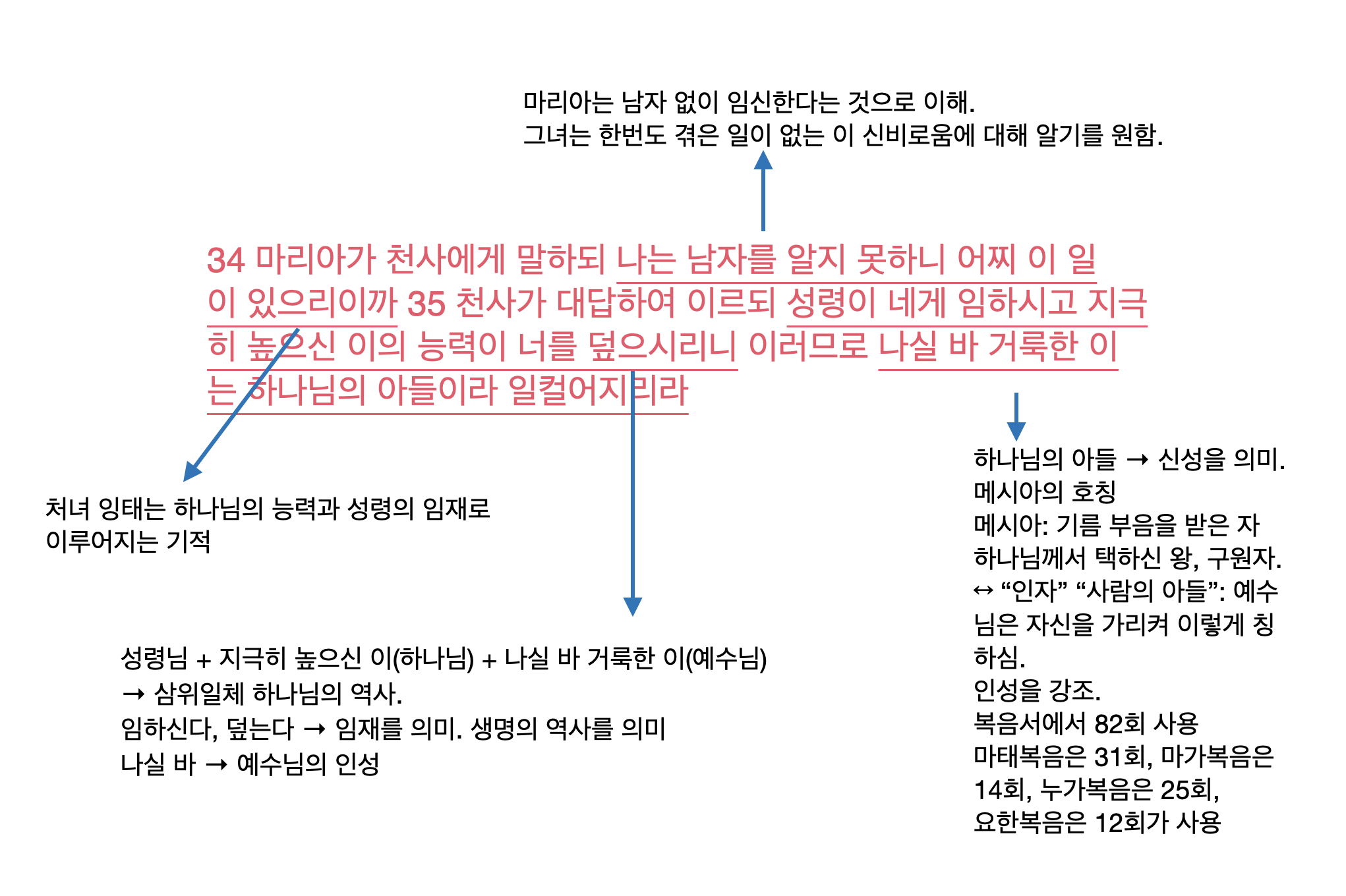 동정녀를 통해 오신 예수님