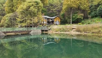자연 속 힐링 2025년 국립자연휴양림 여름 명소 추천 3곳 완벽 여행_9