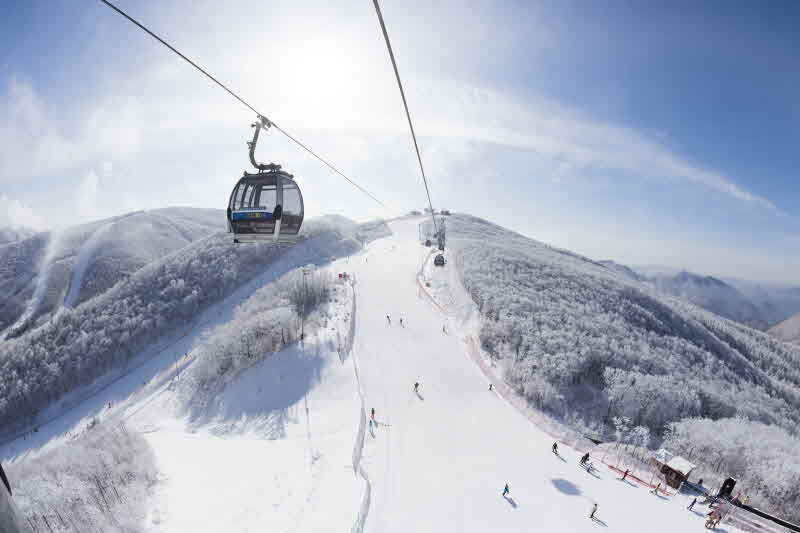 정선 하이원 리조트 스키장