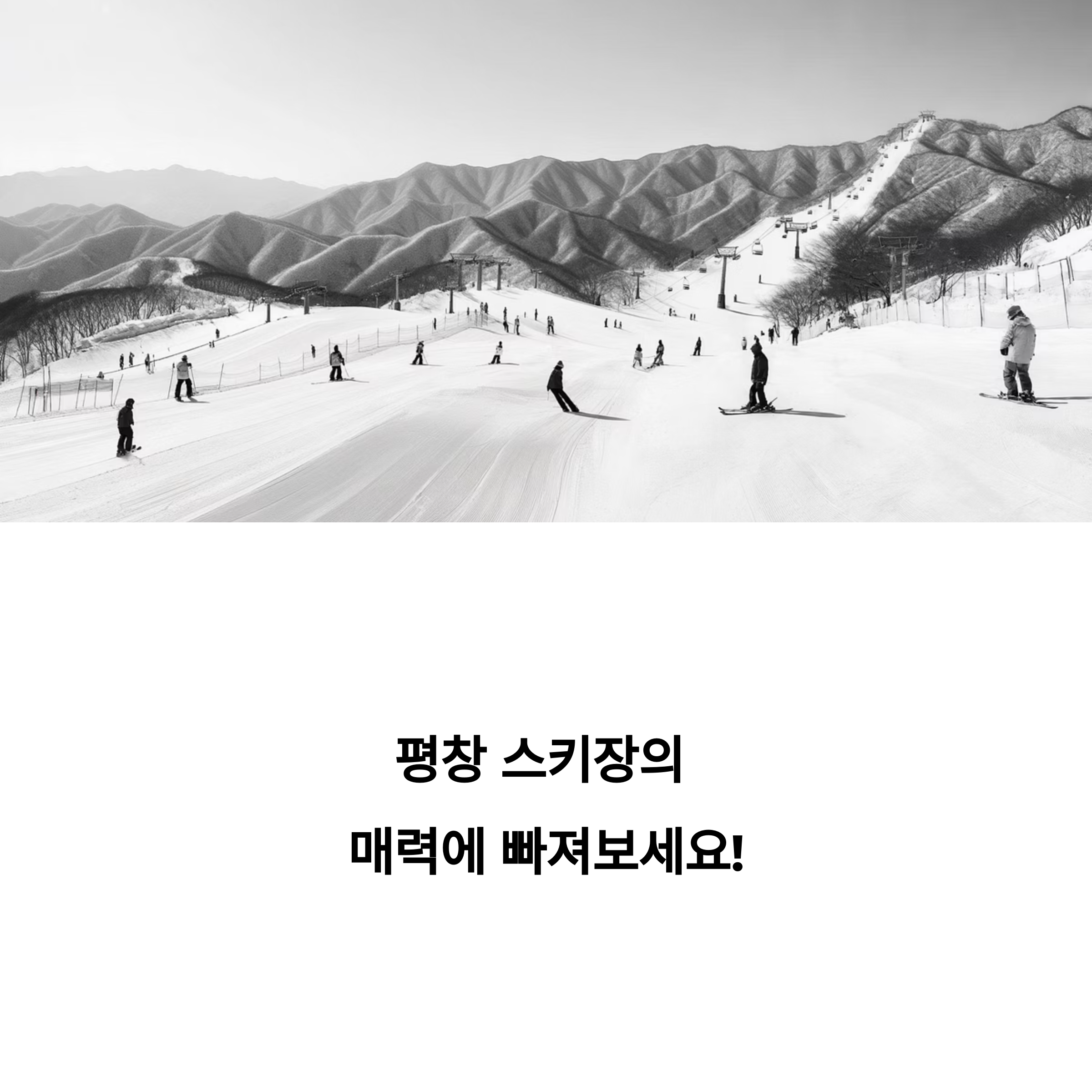 평창 스키장