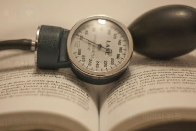 자연 식품 활용 관련 사진