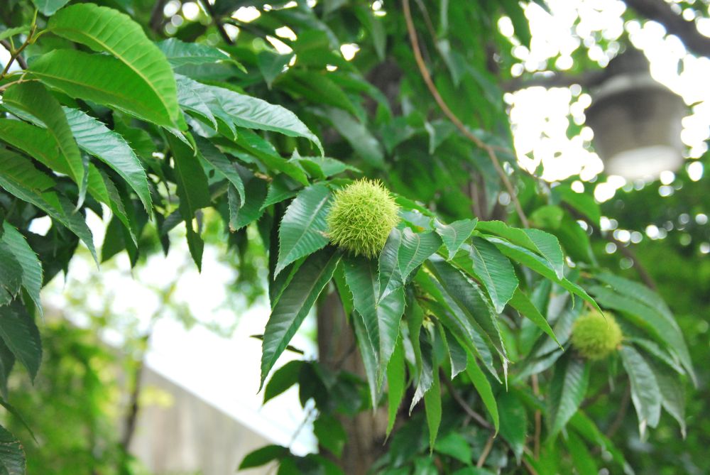 주례동 온골행복마을